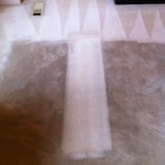 carpet cleaning strip